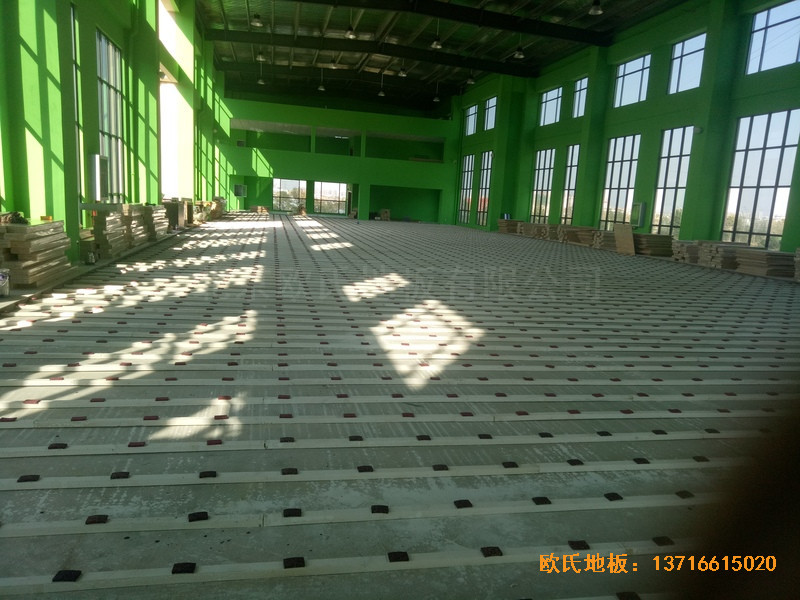 �����S���\(y��n)��(d��ng)�^�\(y��n)��(d��ng)ľ�ذ尲�b����1