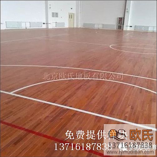 �w���^�\(y��n)�ӻ@��ľ�ذ尸��-���Cʡ��������ЌW(xu��)�w���^