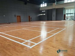 ��ľ���_�\(y��n)���w���ذ�Ʒ���Ă���