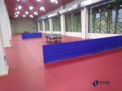 籃球運(yùn)動(dòng)木地板保養(yǎng)知識(shí)