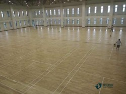 常用運動木地板環(huán)保