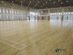 �҃�(n��i)�\�ӈ���ľ�ذ�ʩ���