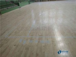 實木運動籃球地板維護保養(yǎng)